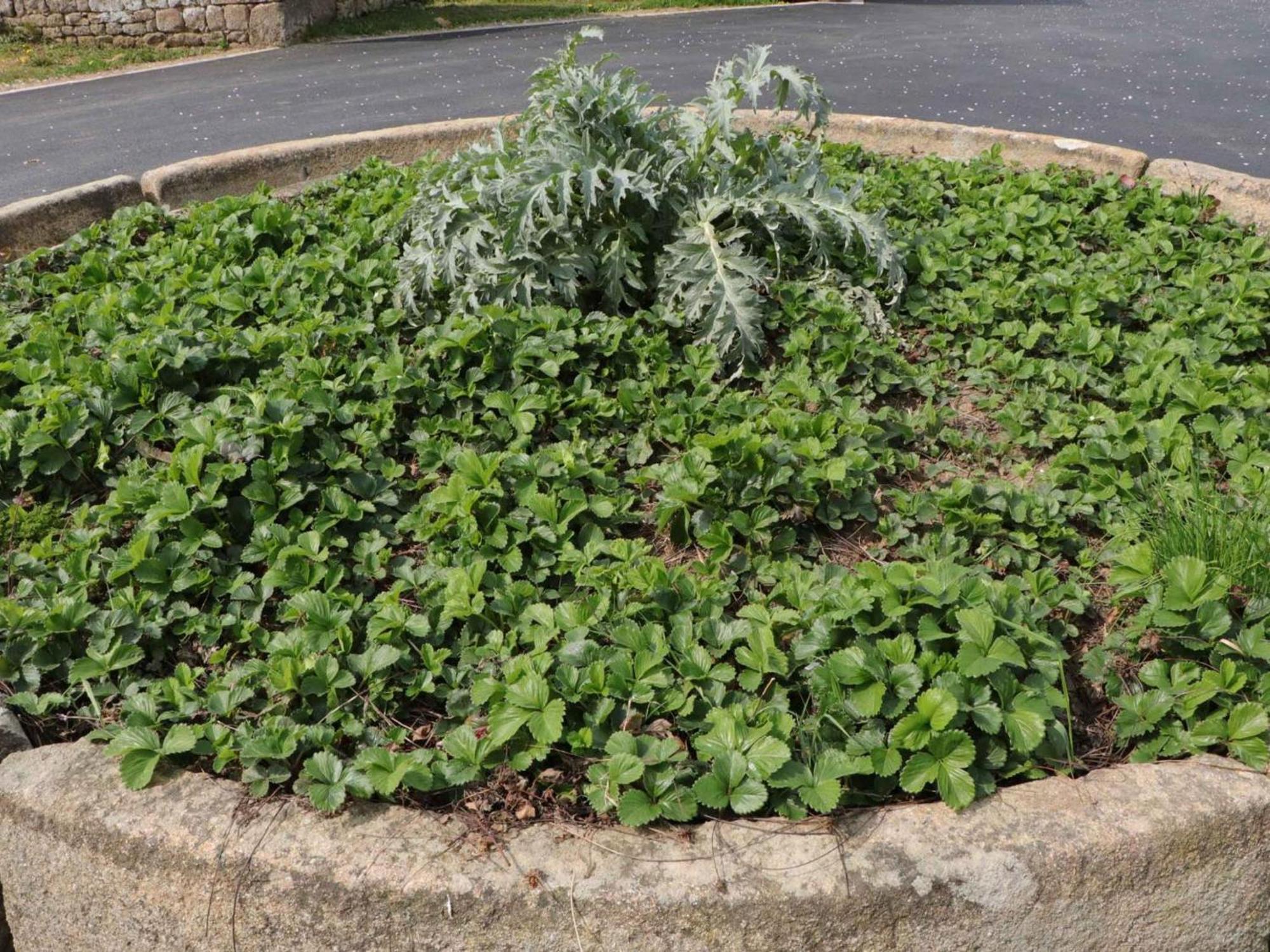 Maison Normande Renovee Avec Grand Jardin, Ideale Pour Famille, Proche Lac Et Randonnees - Fr-1-497-143 Menil-Gondouin المظهر الخارجي الصورة